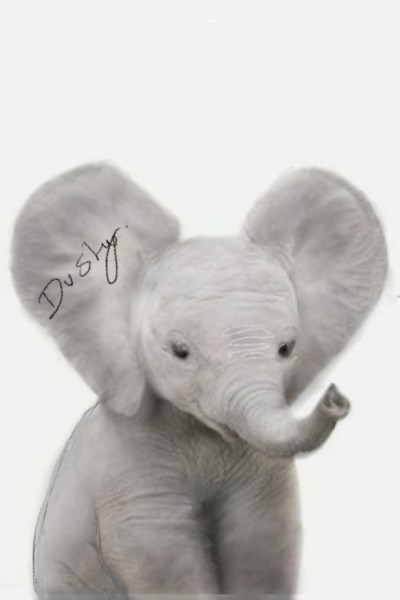 baby elephant in pencil and rubbing | dusty | Digital Drawing | PENUP