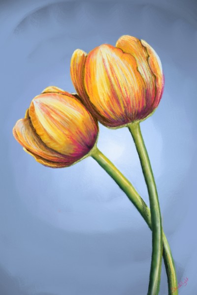 Essaie de tulipes | Doodilight | Digital Drawing | PENUP