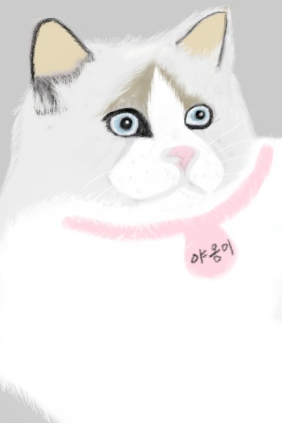 6.Just doddle (^.^)  cat | youngsook | Digital Drawing | PENUP