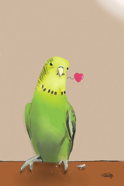 귀여운 앵무새♡ Cutey Parrot♡ (drawing by my sister) | yisky | Digital Drawing | PENUP