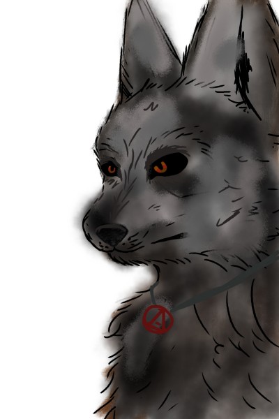 wolf...??? | Cathy | Digital Drawing | PENUP