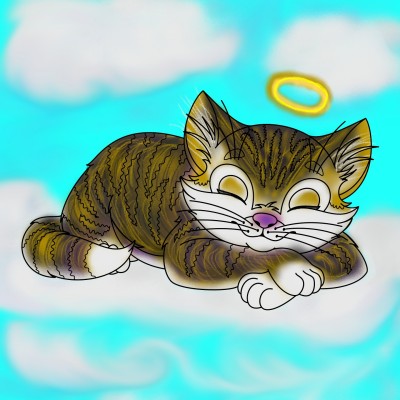 sleepy kitty | missT | Digital Drawing | PENUP