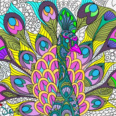 The lure of a peacock♡ | ockja | Digital Drawing | PENUP