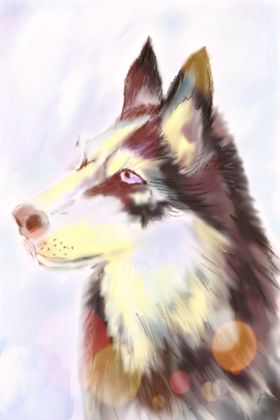 wolf | Lozly | Digital Drawing | PENUP