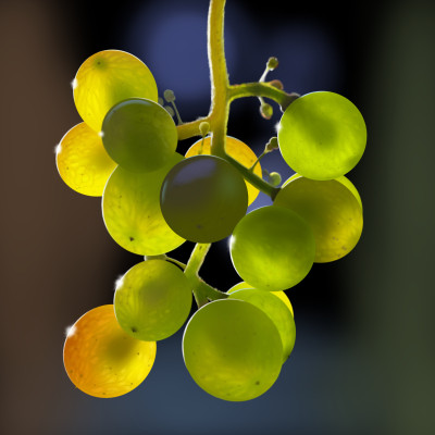 Lovely Grapes -DS2A Realistic draw challenge | LightsNShadows | Digital Drawing | PENUP
