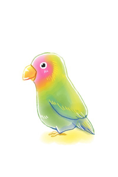 Parakeet | jcw810 | Digital Drawing | PENUP