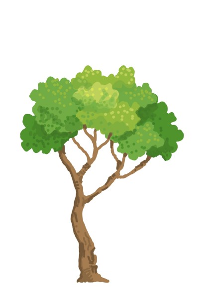 Tree | jcw810 | Digital Drawing | PENUP