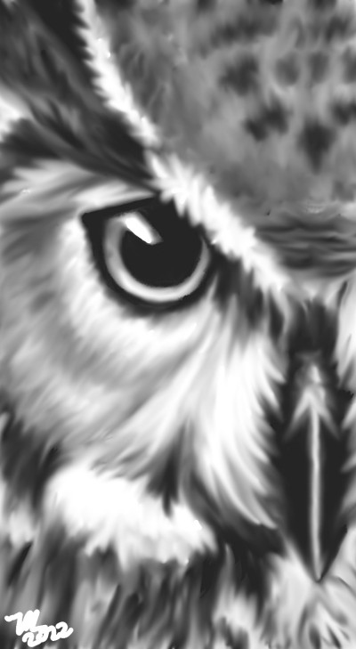 dreamy owl | thekhanartist | Digital Drawing | PENUP