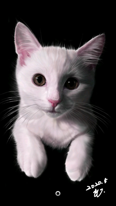 cute cat.  | honey | Digital Drawing | PENUP