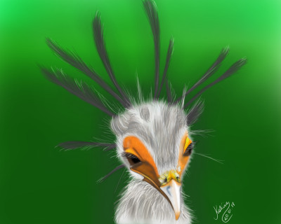 Pássaro  Serpentário | Katicia | Digital Drawing | PENUP
