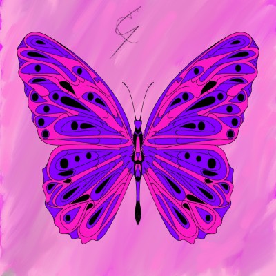Butterflaunt | cinndd | Digital Drawing | PENUP