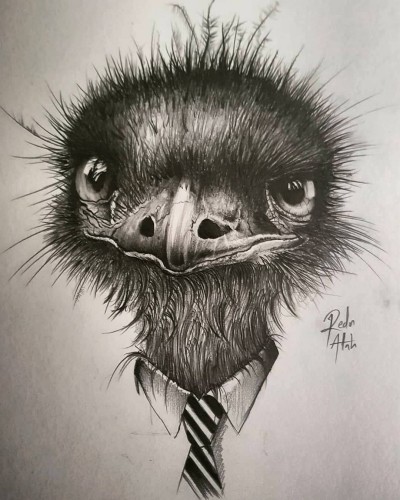 Mister Ostrich! | Zany.Brain | Digital Drawing | PENUP