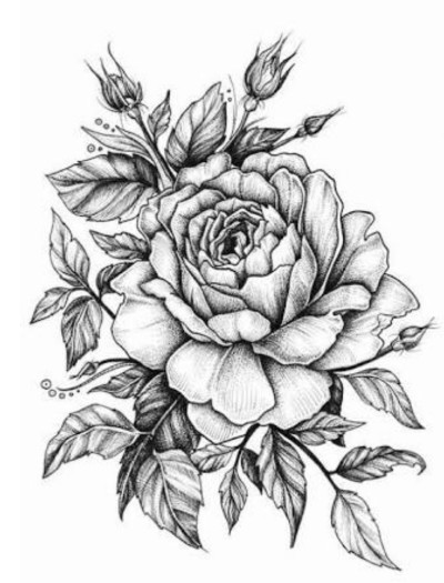 rose | Alicia | Digital Drawing | PENUP