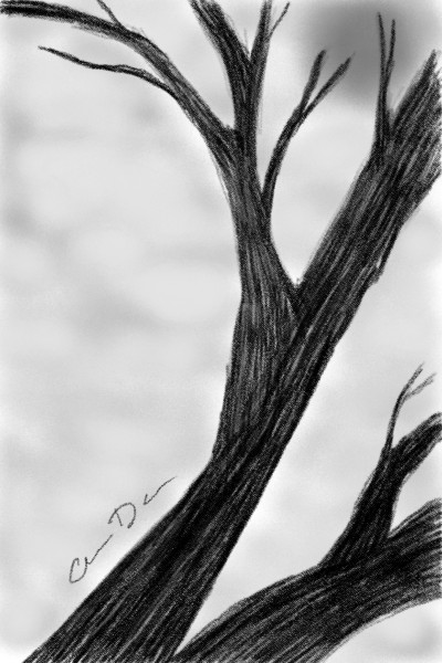 tree  | Davisdesigns | Digital Drawing | PENUP