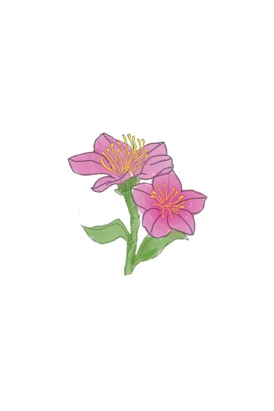 Flower Power  | Brooklyn | Digital Drawing | PENUP