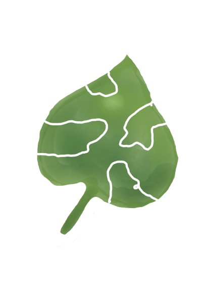 My leaf. | White-flower | Digital Drawing | PENUP