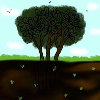 tree in field | Alizacreation | Digital Drawing | PENUP