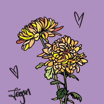 Chrysanthemum | jovi | Digital Drawing | PENUP