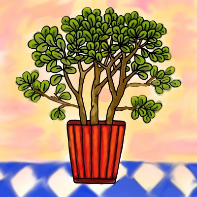 jade plant | sburiff | Digital Drawing | PENUP