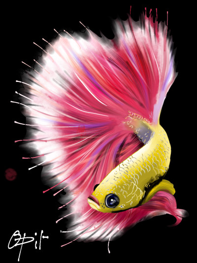 A colourful Betta fish | opit | Digital Drawing | PENUP