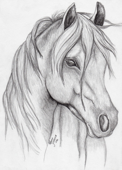 Horses | FixItMomAZ | Digital Drawing | PENUP