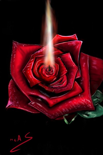 Rosa vermella amb flama | Carme | Digital Drawing | PENUP