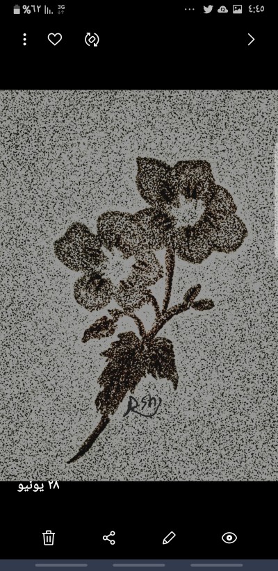 Plant Digital Drawing | Asho.Fd32 | PENUP
