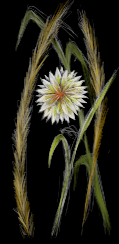 flower  | RKev | Digital Drawing | PENUP