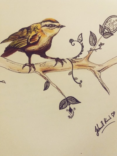 little bird | Ishrah_khan.T | Digital Drawing | PENUP