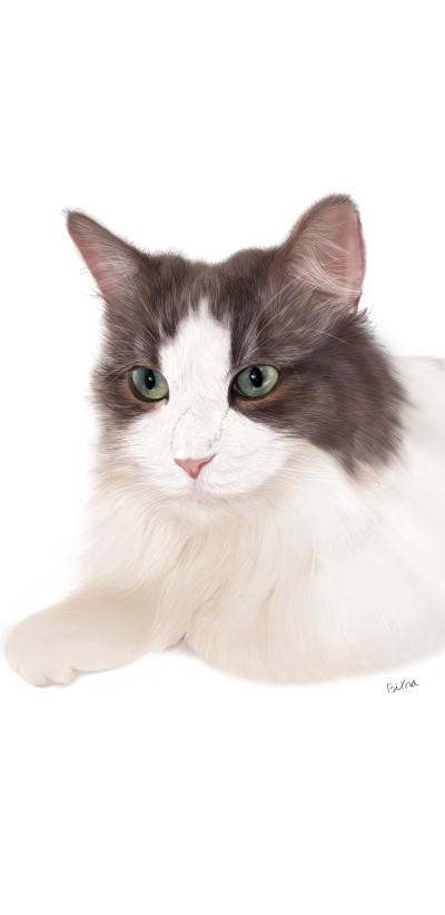 cat | Boucle | Digital Drawing | PENUP