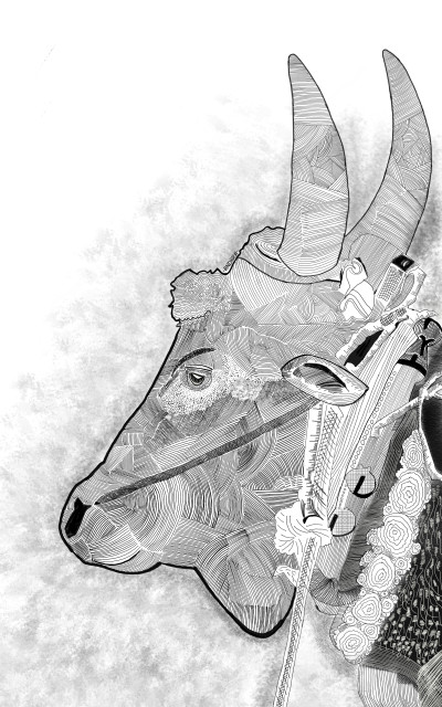 Bull | Andhra.Ghandi | Digital Drawing | PENUP