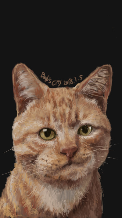 Animal Digital Drawing | bobssam | PENUP