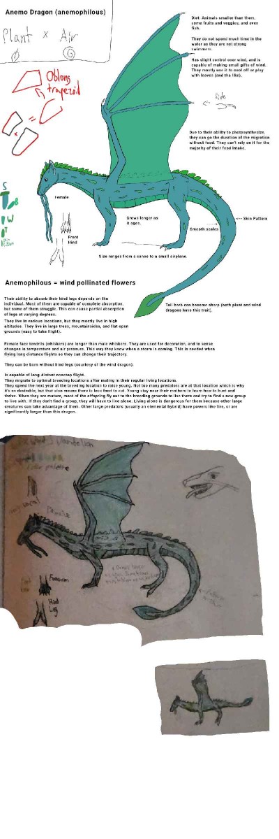 Anemo dragon Redrawing (+reference) | ArabellaMeyer | Digital Drawing | PENUP