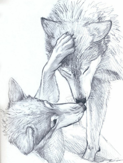 Wolfs Freundschaft | KlavierFalke123 | Digital Drawing | PENUP