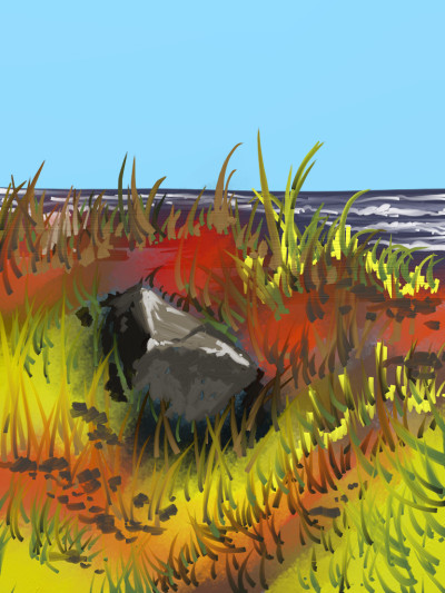 A rock on the beach | AntoineKhanji | Digital Drawing | PENUP