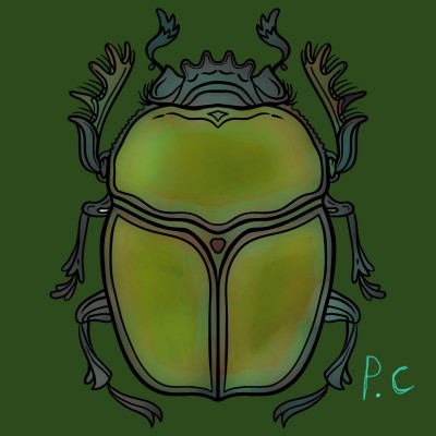 scarabée  | pilou | Digital Drawing | PENUP