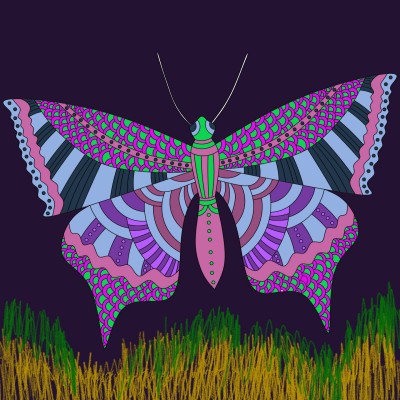 butterfly  | Ariday | Digital Drawing | PENUP