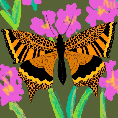 Papillon  | fudji | Digital Drawing | PENUP
