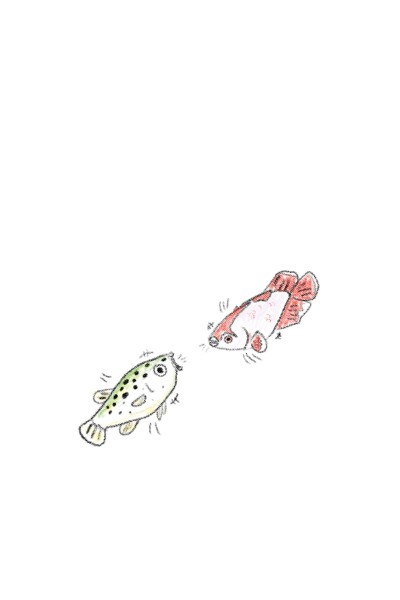 베타물고기와 초록복어 | whale | Digital Drawing | PENUP