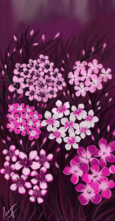 Pink sapphire | Sugan | Digital Drawing | PENUP