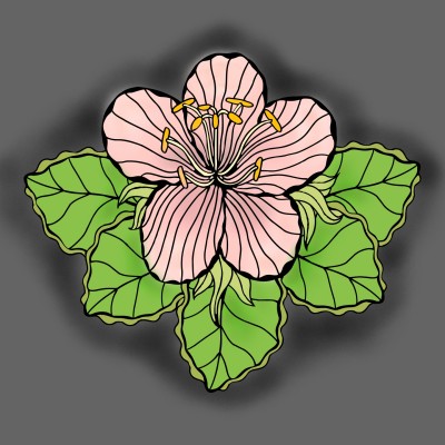 Flower | Tessie | Digital Drawing | PENUP