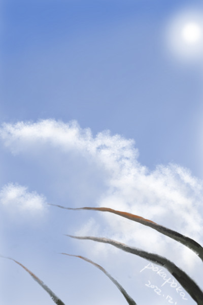 wind's travel | pokapoka | Digital Drawing | PENUP