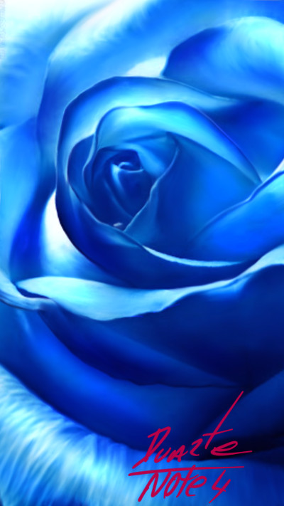 Blue Rosa ♡ | Duarte074 | Digital Drawing | PENUP