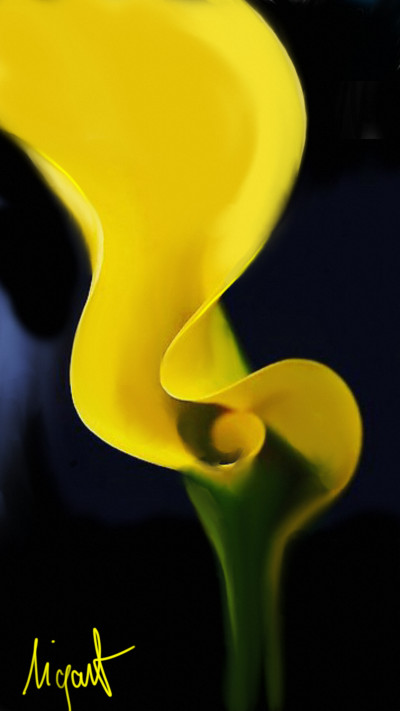 yellow flower | Nigart | Digital Drawing | PENUP