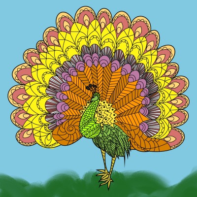 Exotic peacock | Chris | Digital Drawing | PENUP