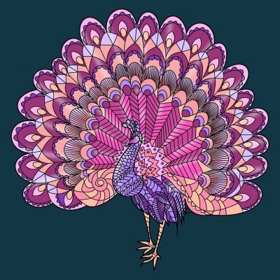 Peacock  | vaniaania | Digital Drawing | PENUP