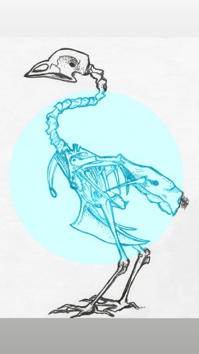 skeleton | w3tza | Digital Drawing | PENUP
