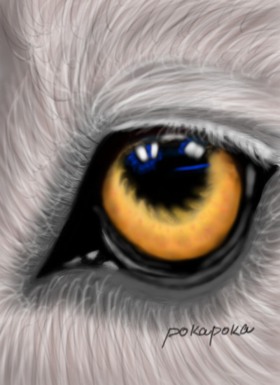 Wolf's eye, my love  | pokapoka | Digital Drawing | PENUP