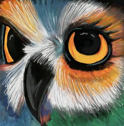 Color owl Abstract | FiXi | Digital Drawing | PENUP