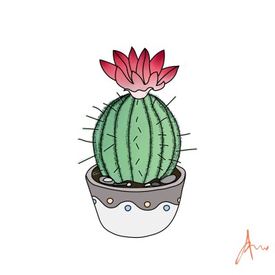 Pink Cacti | ImpulsivePhotos | Digital Drawing | PENUP